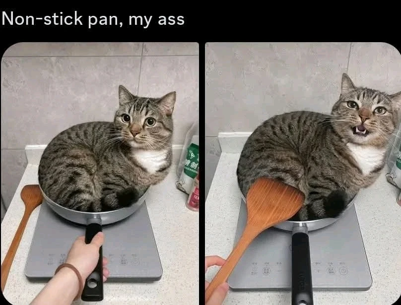 GIF eropgeluede vum Will