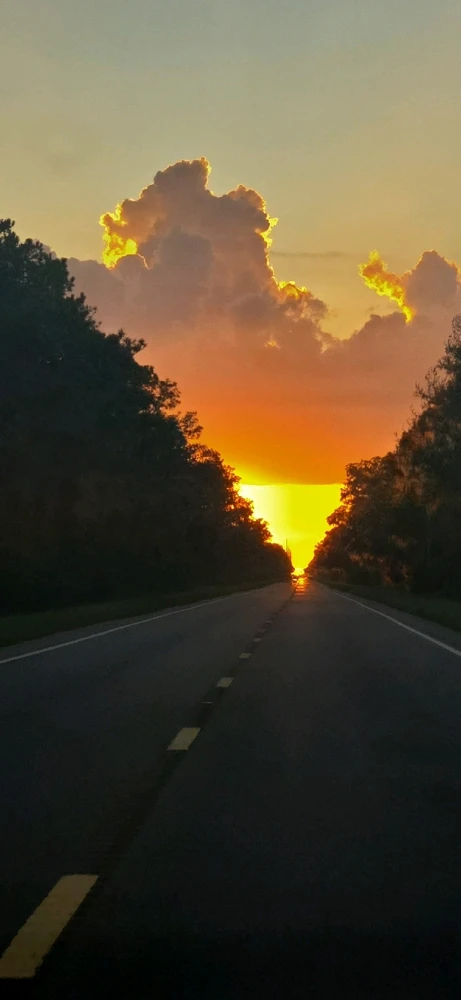 GIF uploaded by Zach