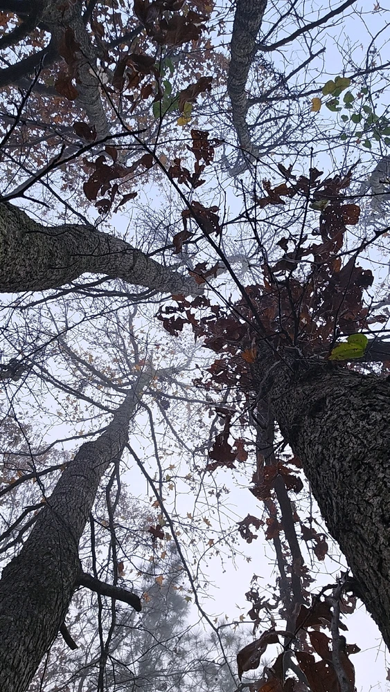 GIF uploaded by Jamie