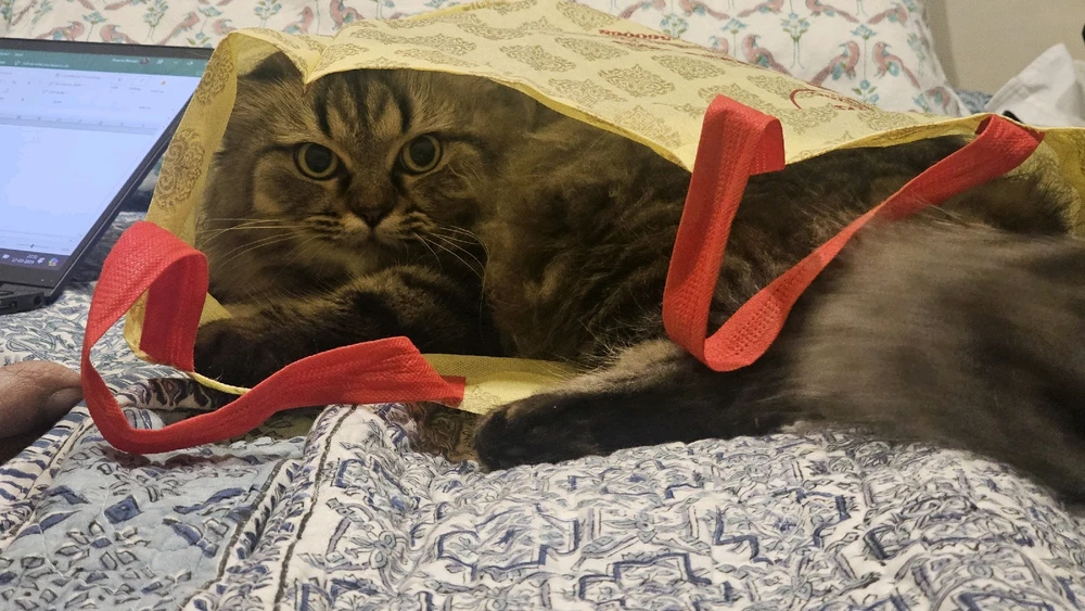 Image uploaded by Ayush Ragesh