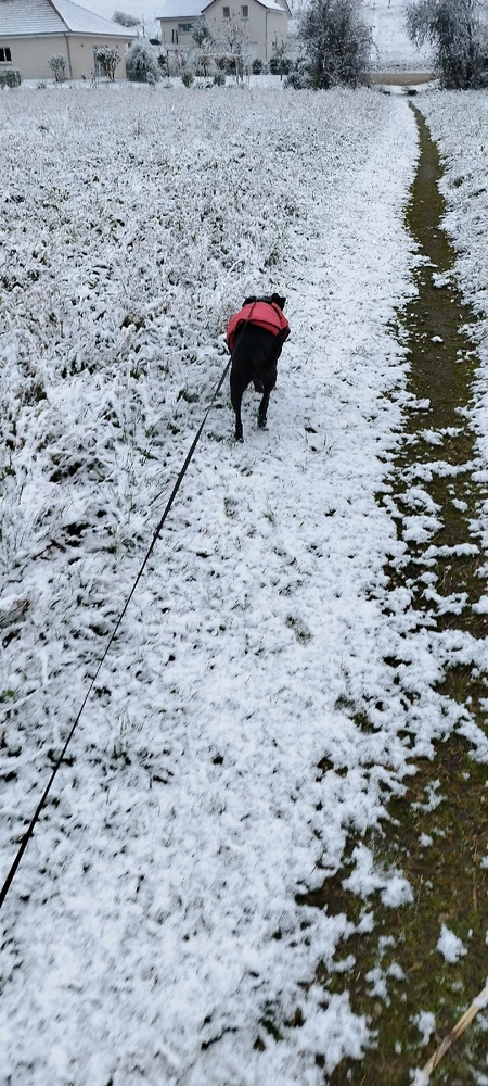 Image ajoutée par Off