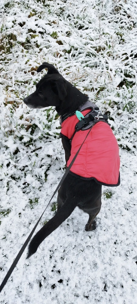 Image ajoutée par Off