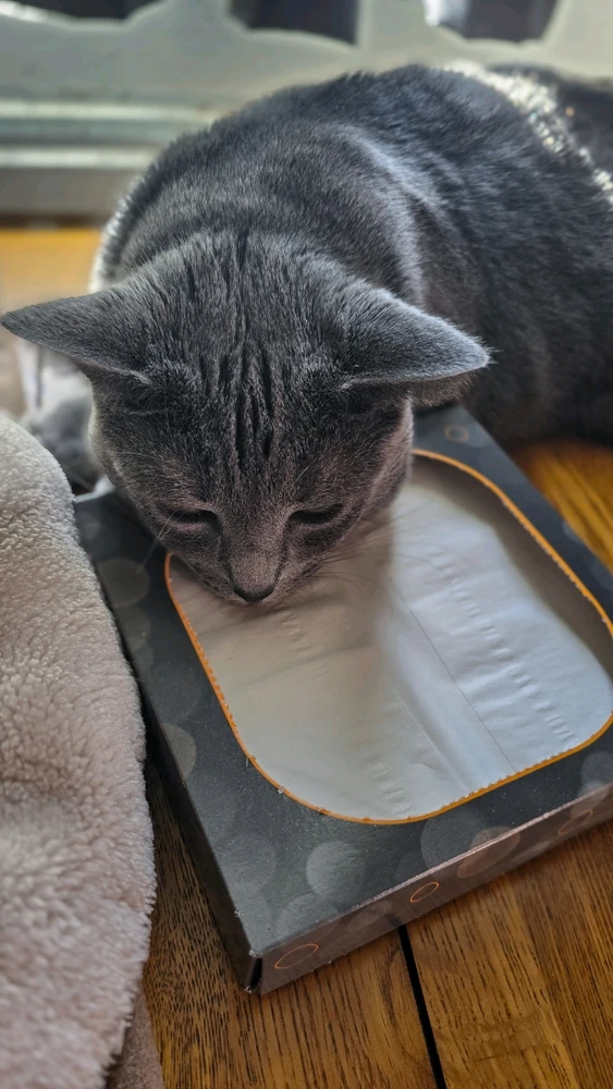 Image uploaded by Tony