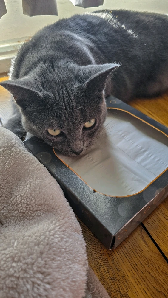 Image uploaded by Tony