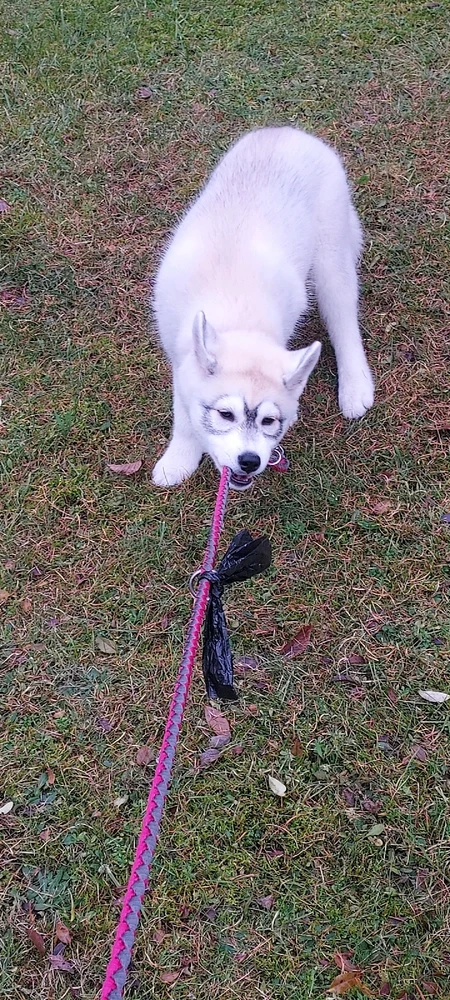 GIF dodany przez Tymon