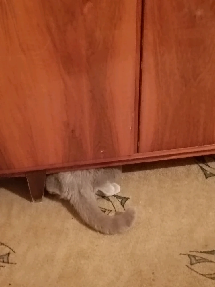 Гіфку завантажив Anastasiya