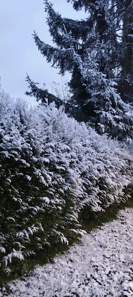 Image ajoutée par Off