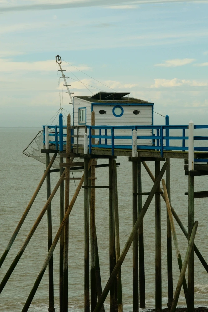 GIF ajouté par Oriane