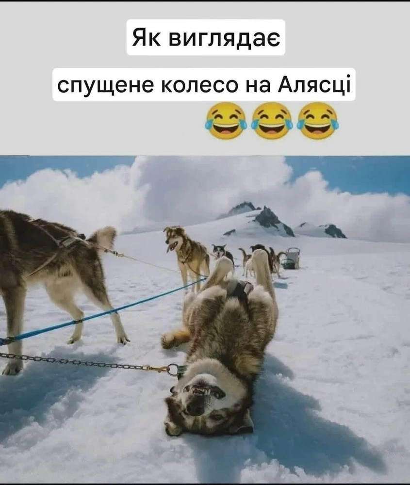 Гіфку завантажив Nena