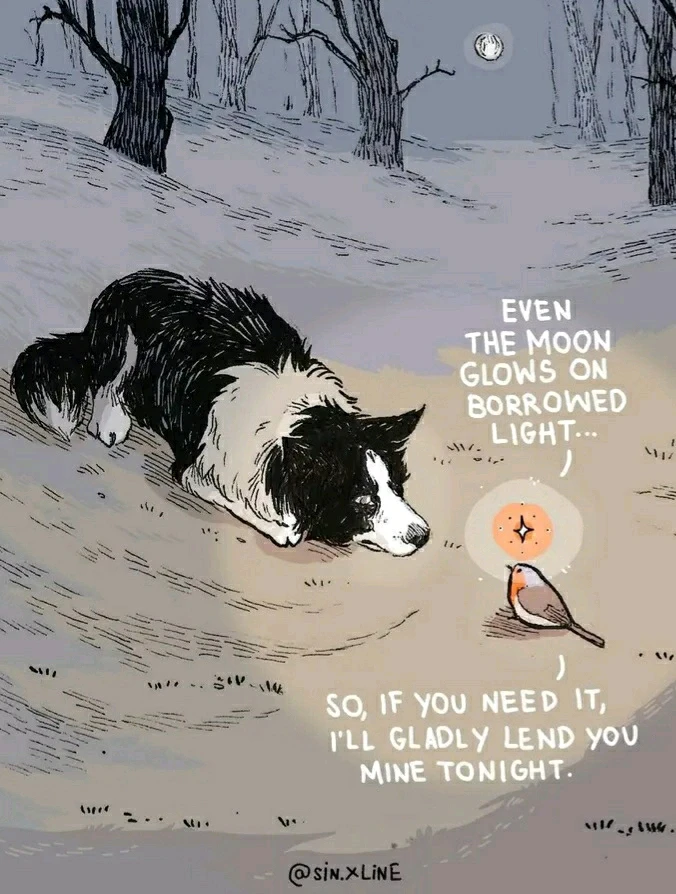 GIF hochgeladen von Marron