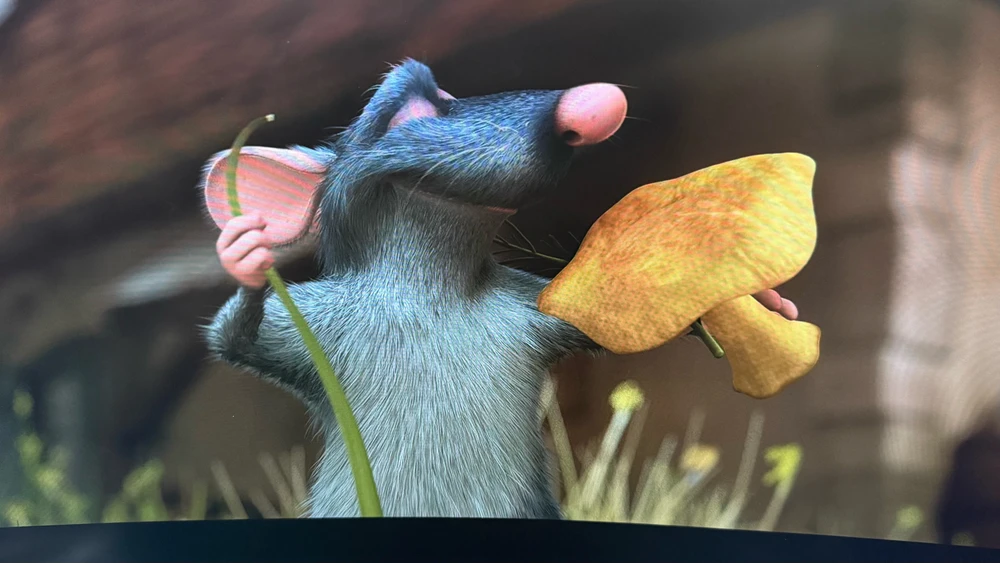 GIF enviado por Fernanda 🏳️⚧️