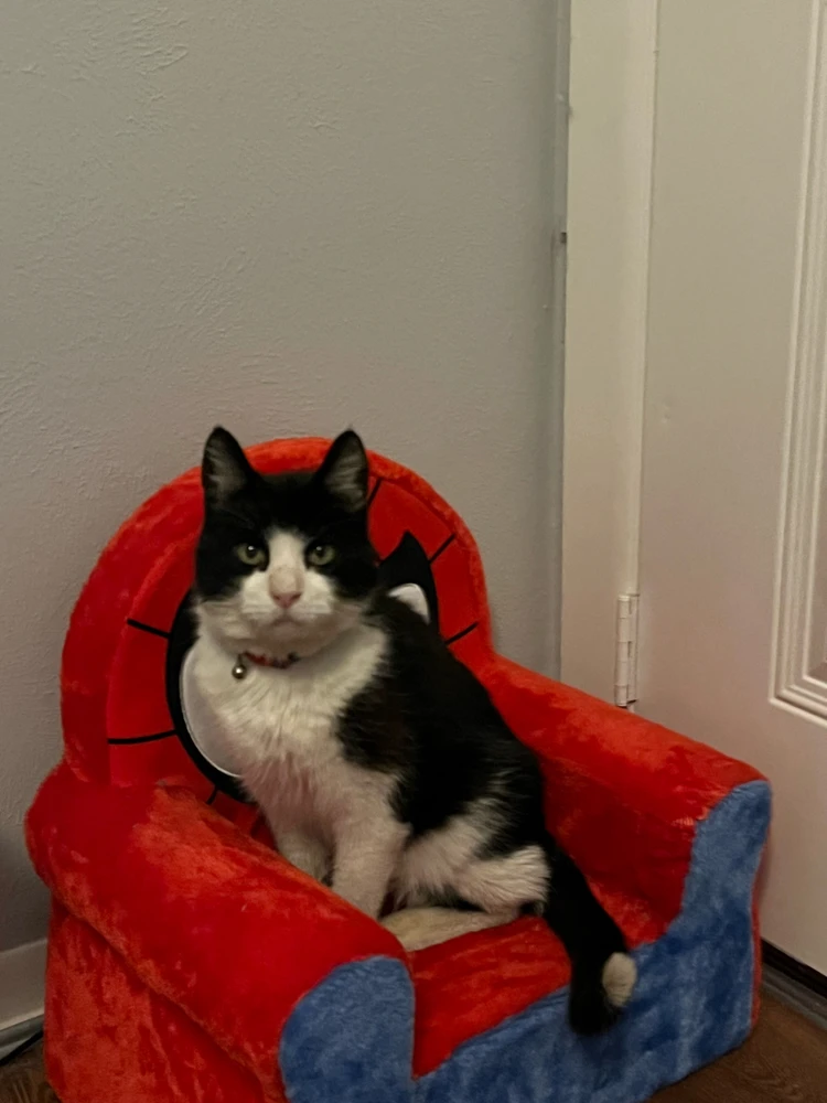 GIF diunggah dening Buck