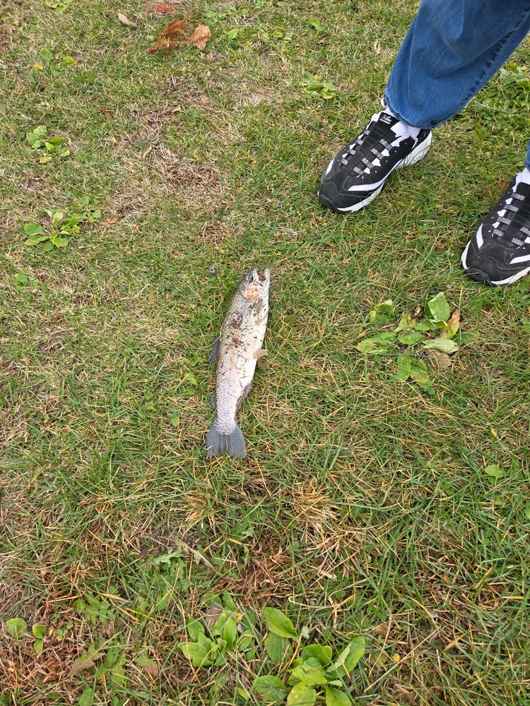 Gambar diunggah dening Destiny