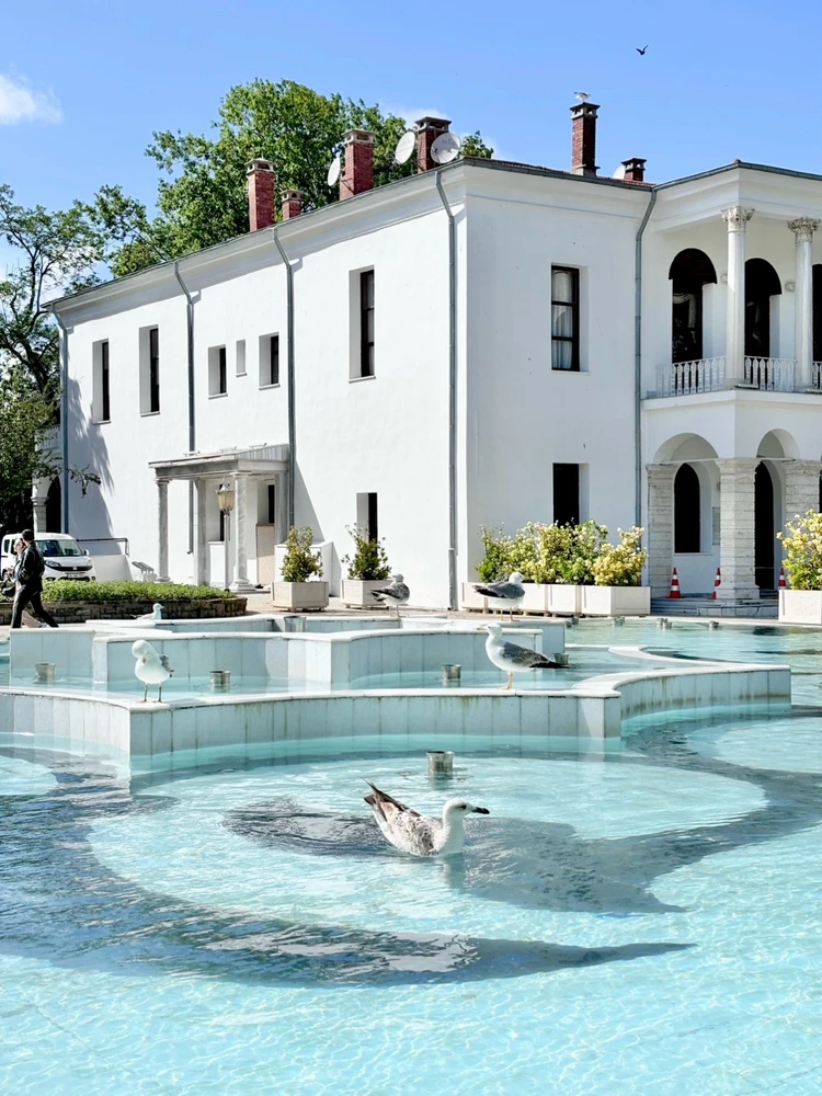 Hayla tarafından yüklenen görsel