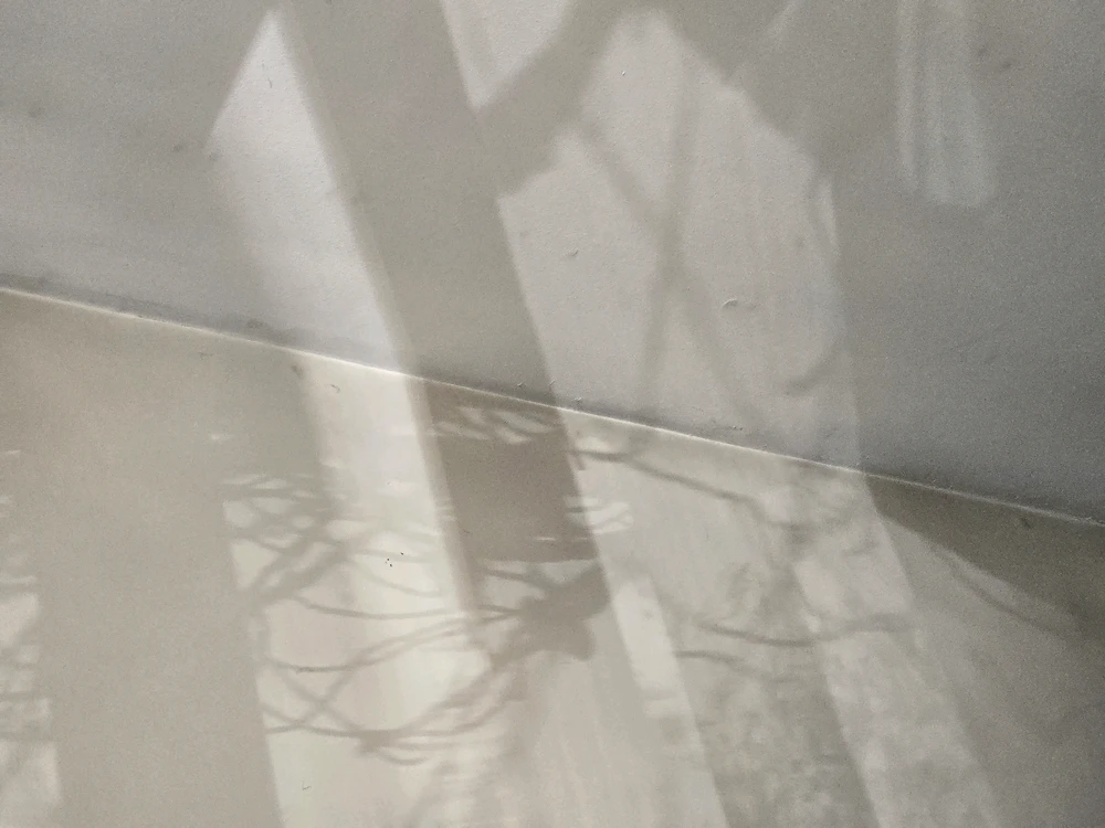 Gambar diunggah dening Tj