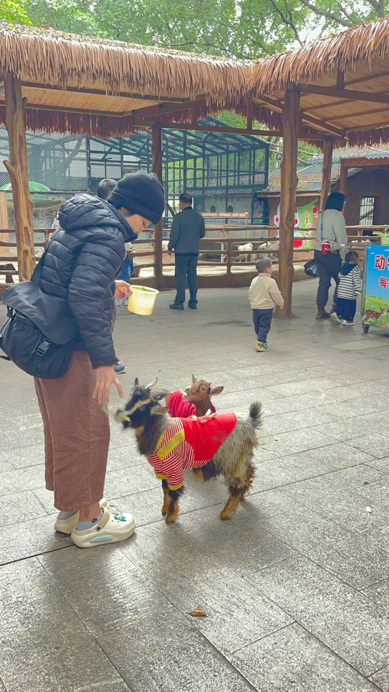 GIF uploaded by Jerah 🌻