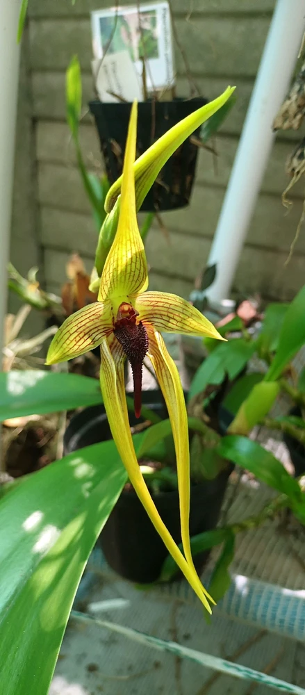 Image uploaded by Christine