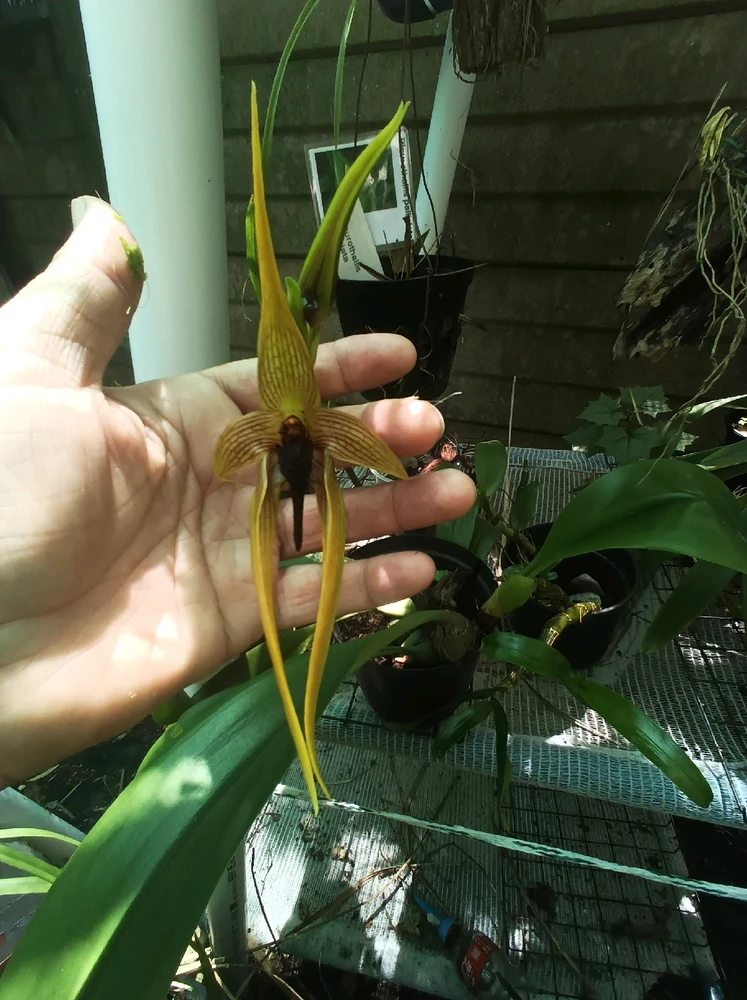 Image uploaded by Christine