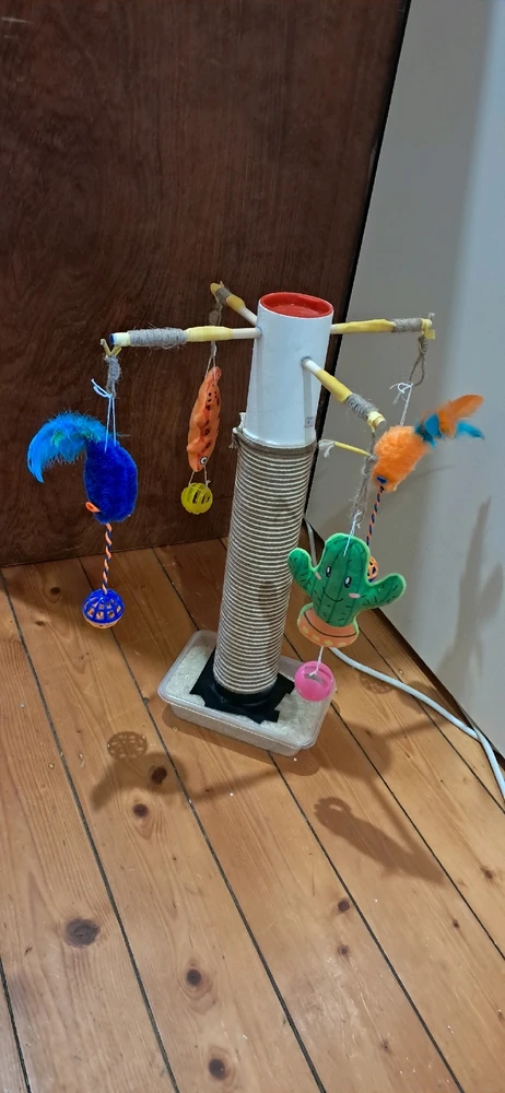 GIF uploaded by Lachlan