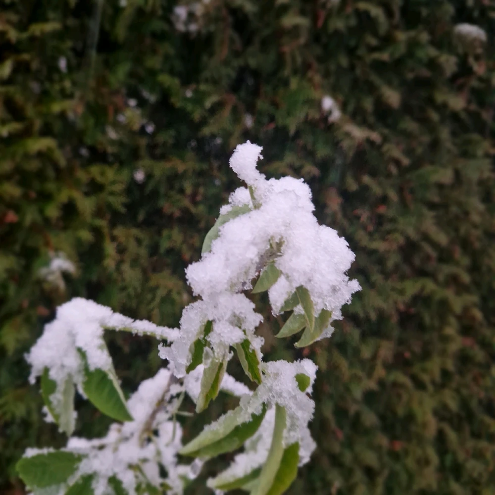 Zdjęcie dodane przez Dawid