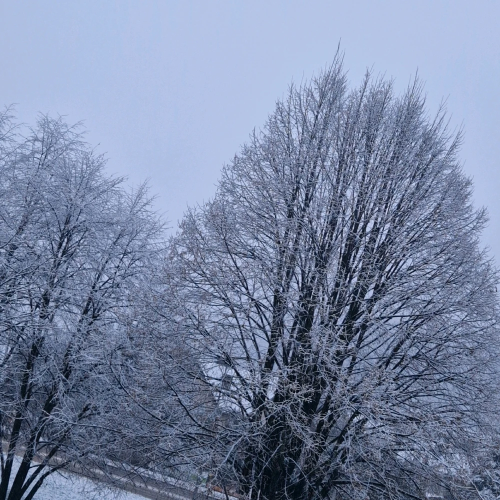 Zdjęcie dodane przez Dawid