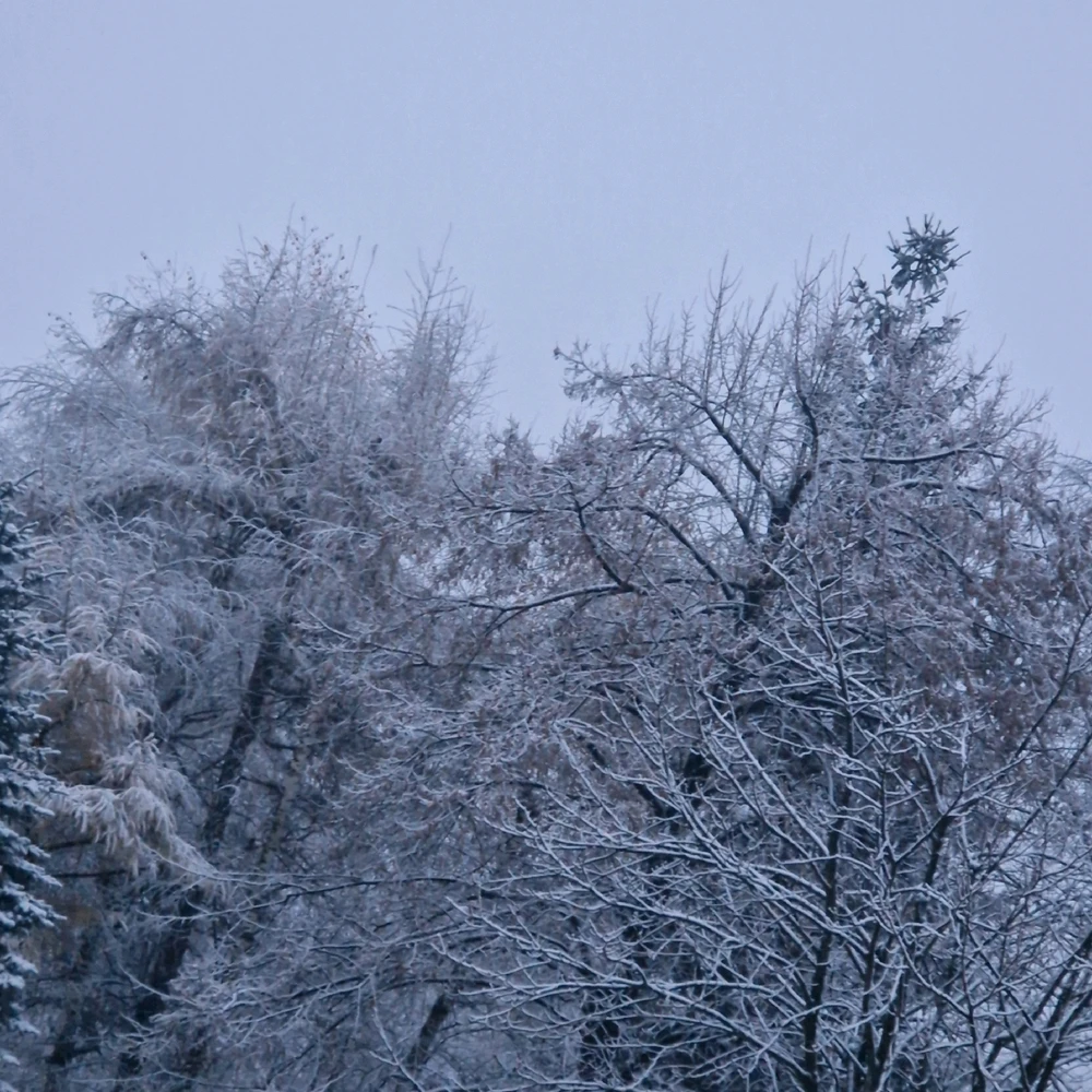 Zdjęcie dodane przez Dawid