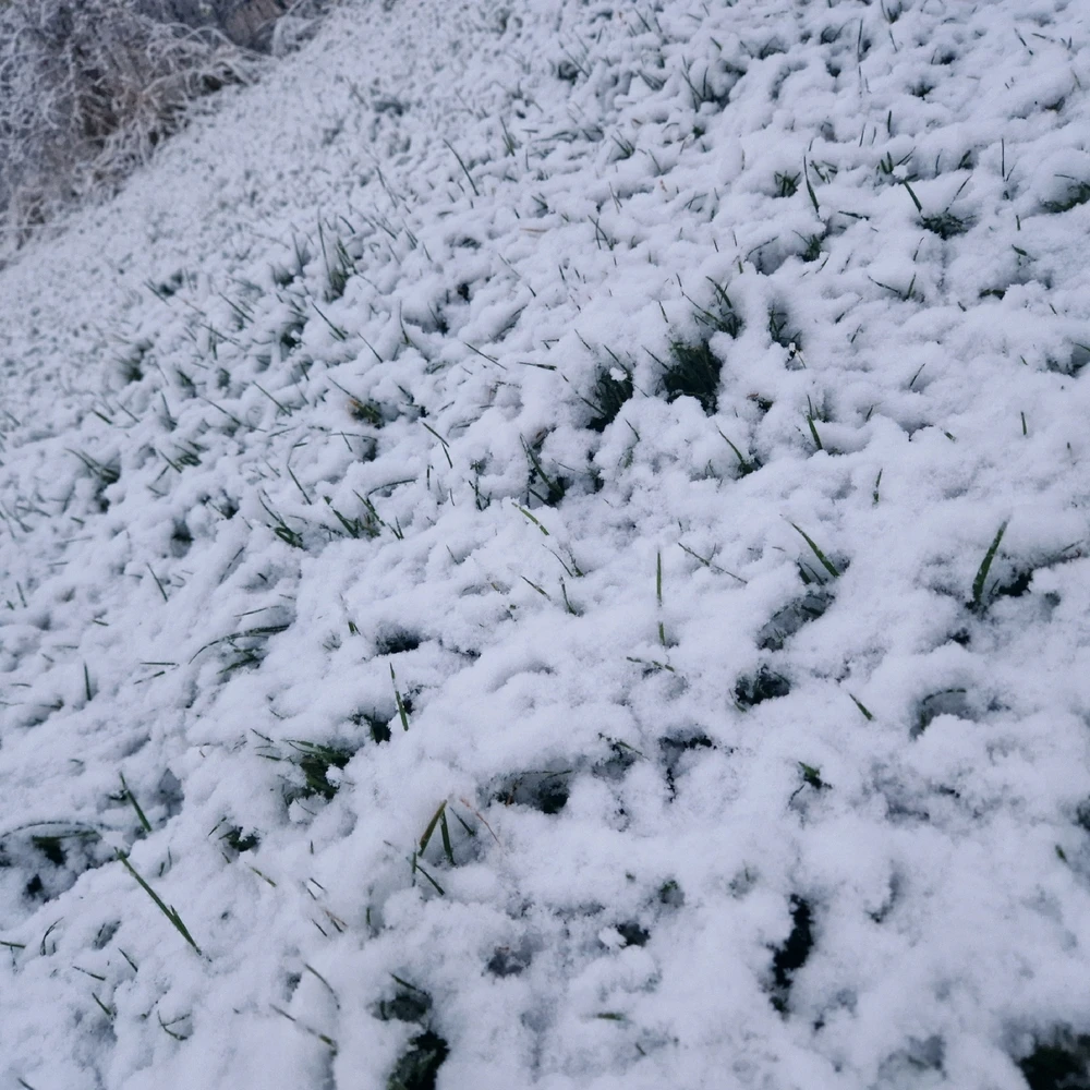 Zdjęcie dodane przez Dawid