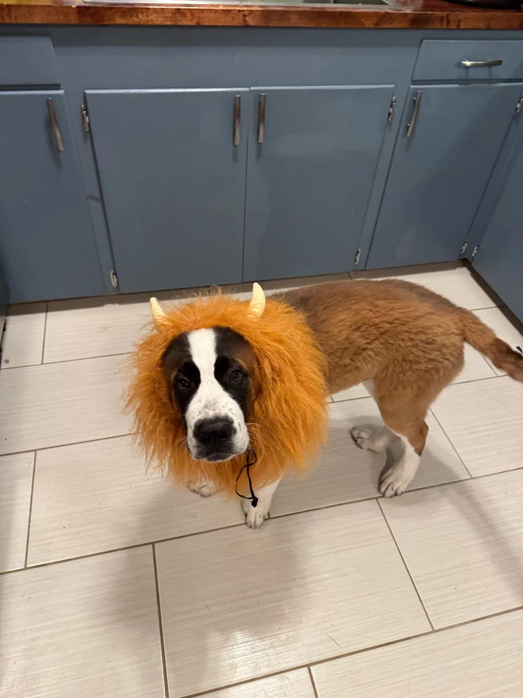 GIF uploaded by Greg