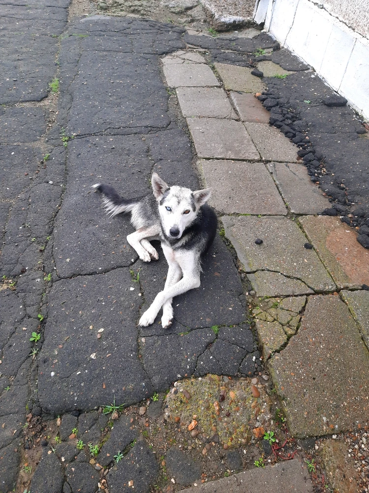 Imagine încărcată de Toma Leonard-Gabriel