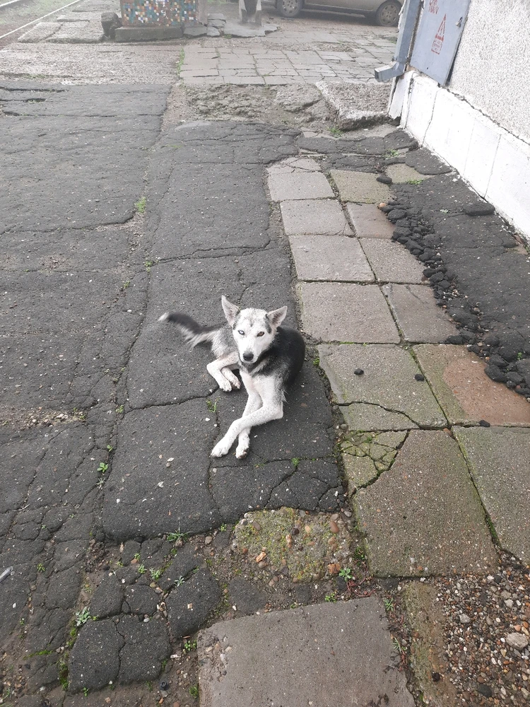 Imagine încărcată de Toma Leonard-Gabriel