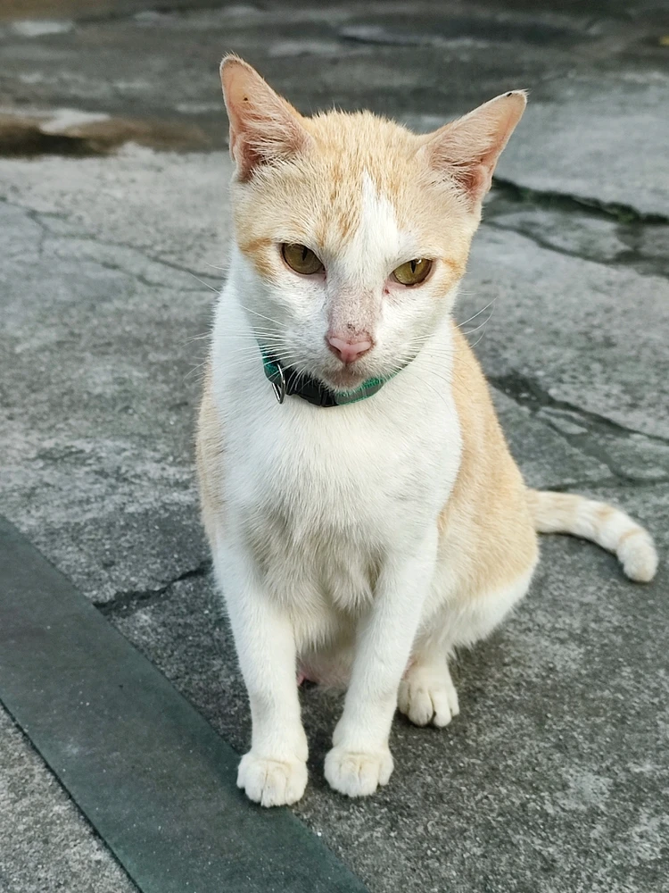 GIF uploaded by Kath