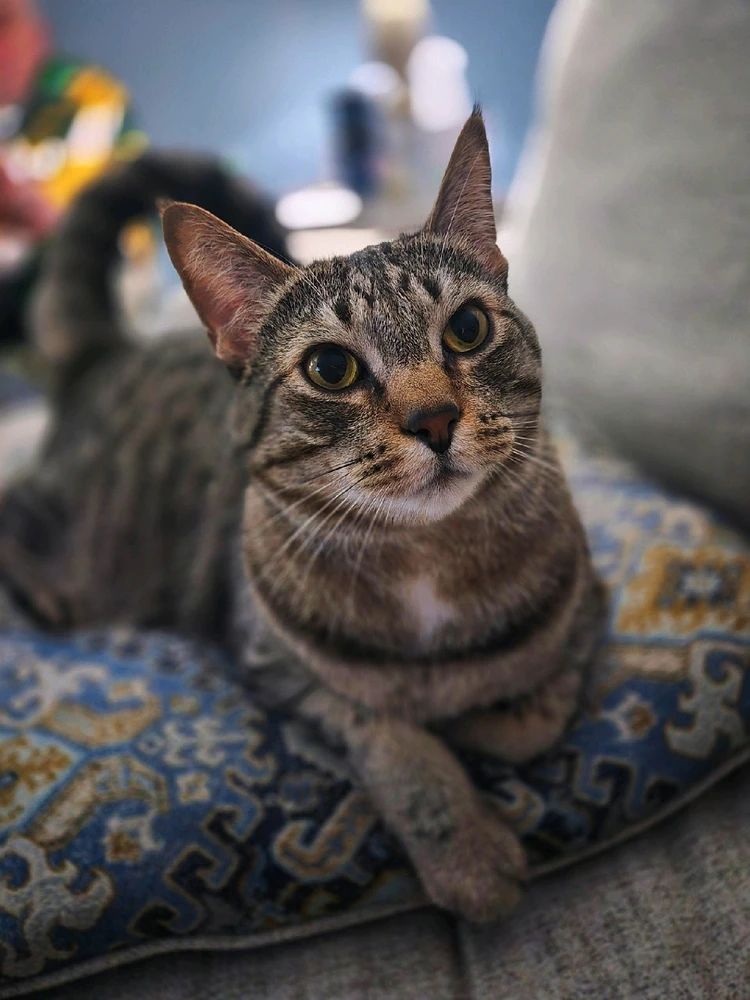 GIF uploaded by Annie