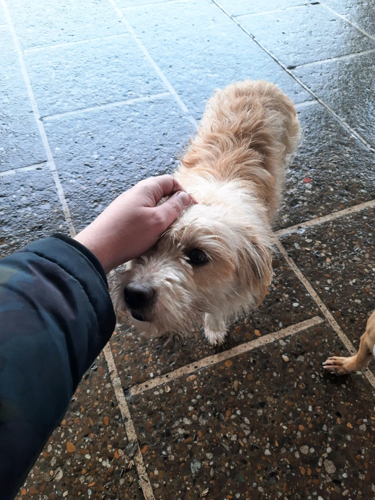 Imagine încărcată de Toma Leonard-Gabriel