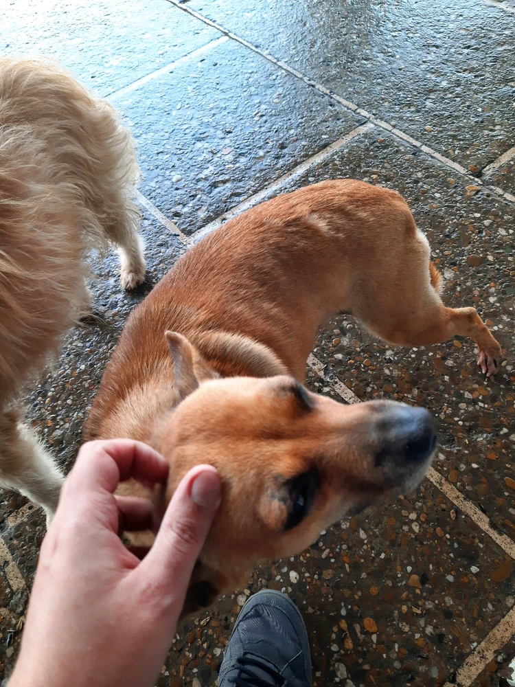 Imagine încărcată de Toma Leonard-Gabriel