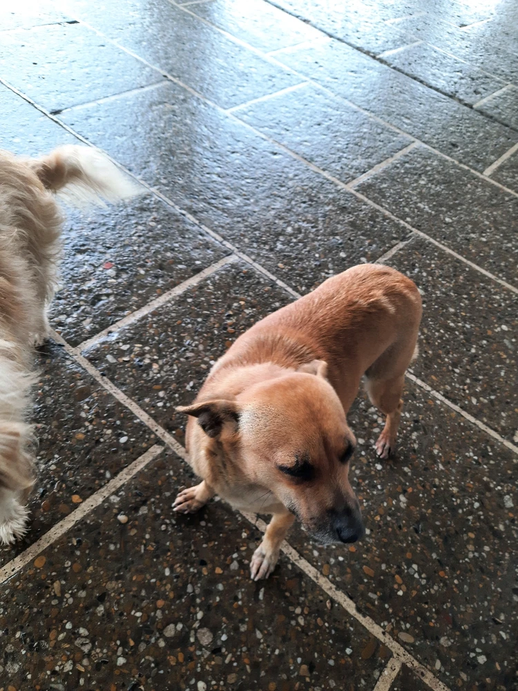 Imagine încărcată de Toma Leonard-Gabriel