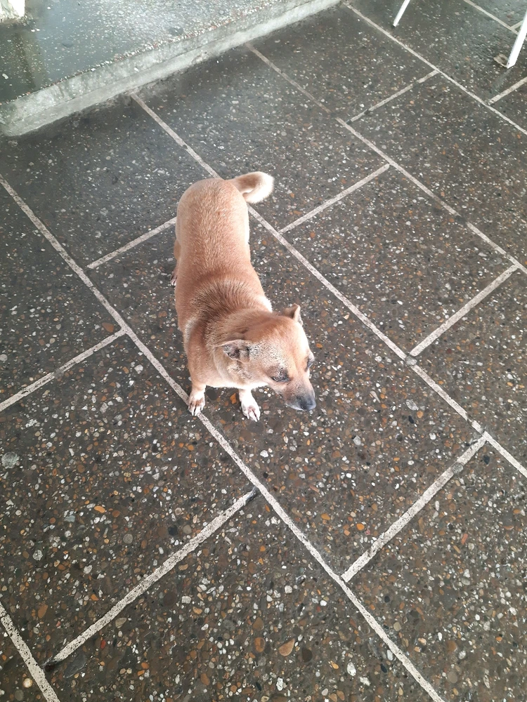 Imagine încărcată de Toma Leonard-Gabriel