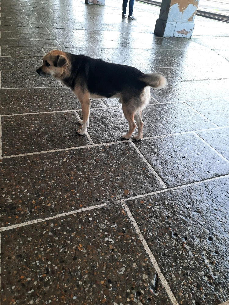 Imagine încărcată de Toma Leonard-Gabriel