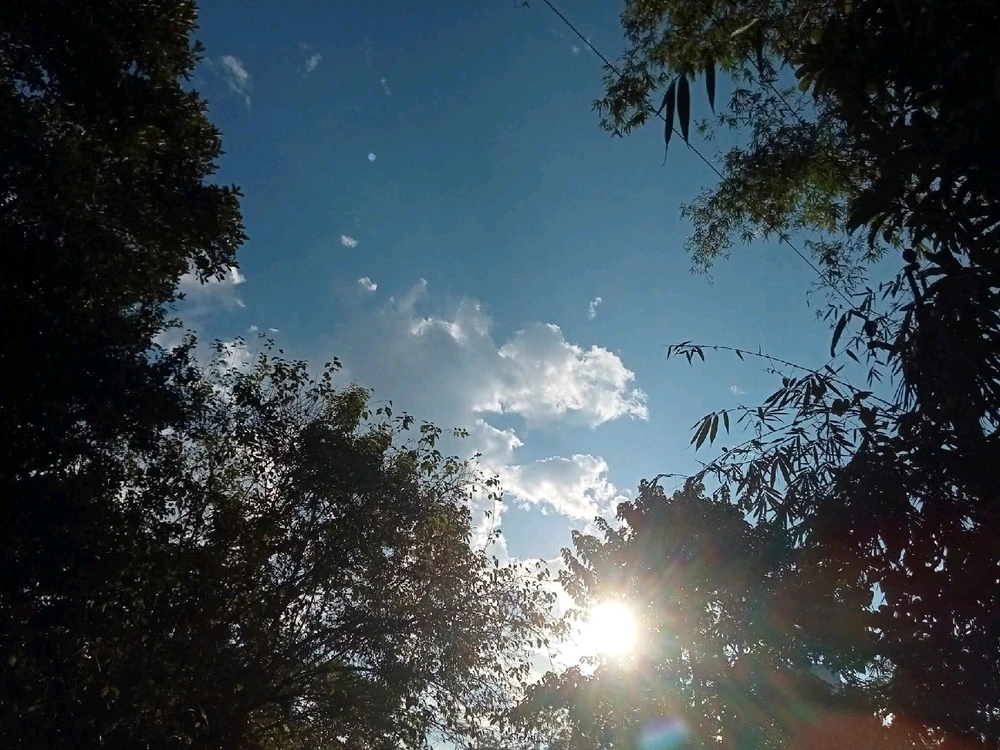 Image uploaded by 💜J💜o💜e💜y💜