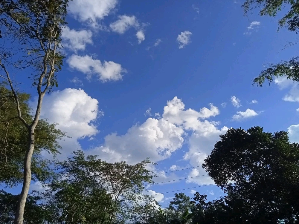 Image uploaded by 💜J💜o💜e💜y💜