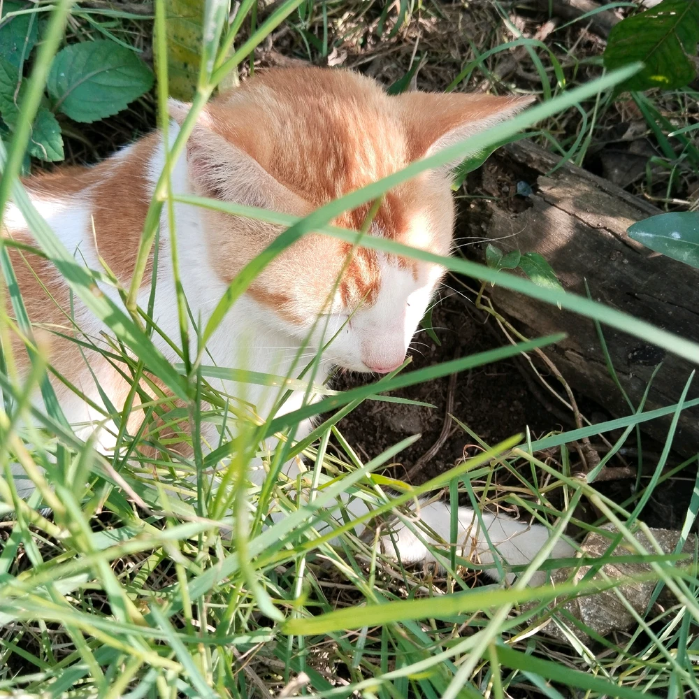 GIF được Nam tải lên