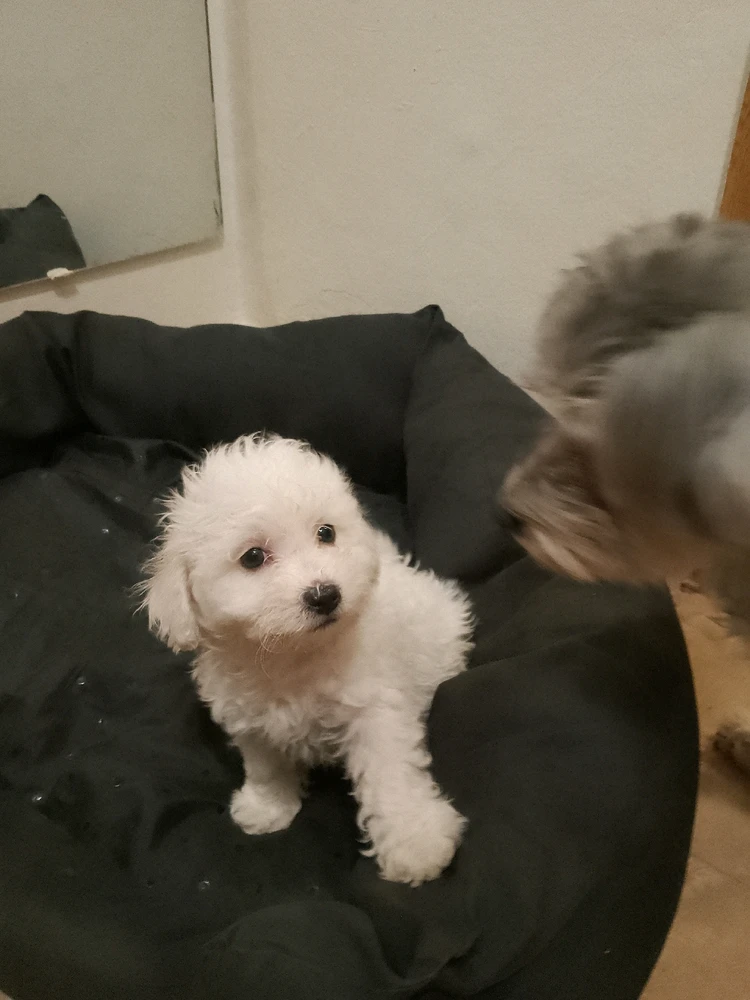 GIF uploaded by Adriana Cirneci