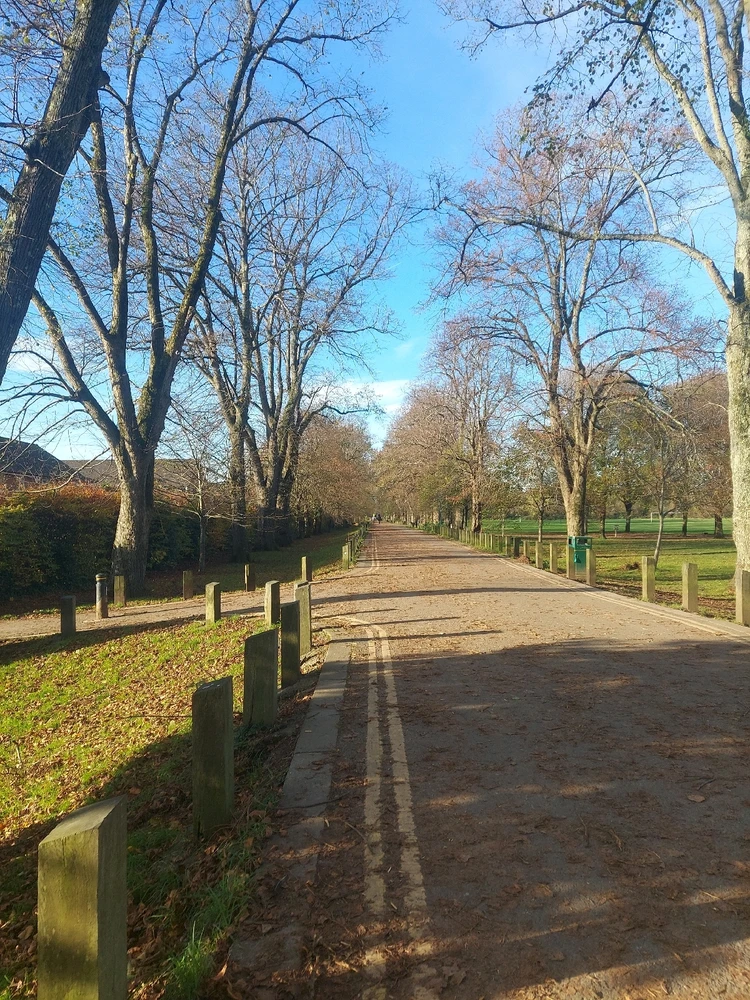 GIF uploaded by Ritika