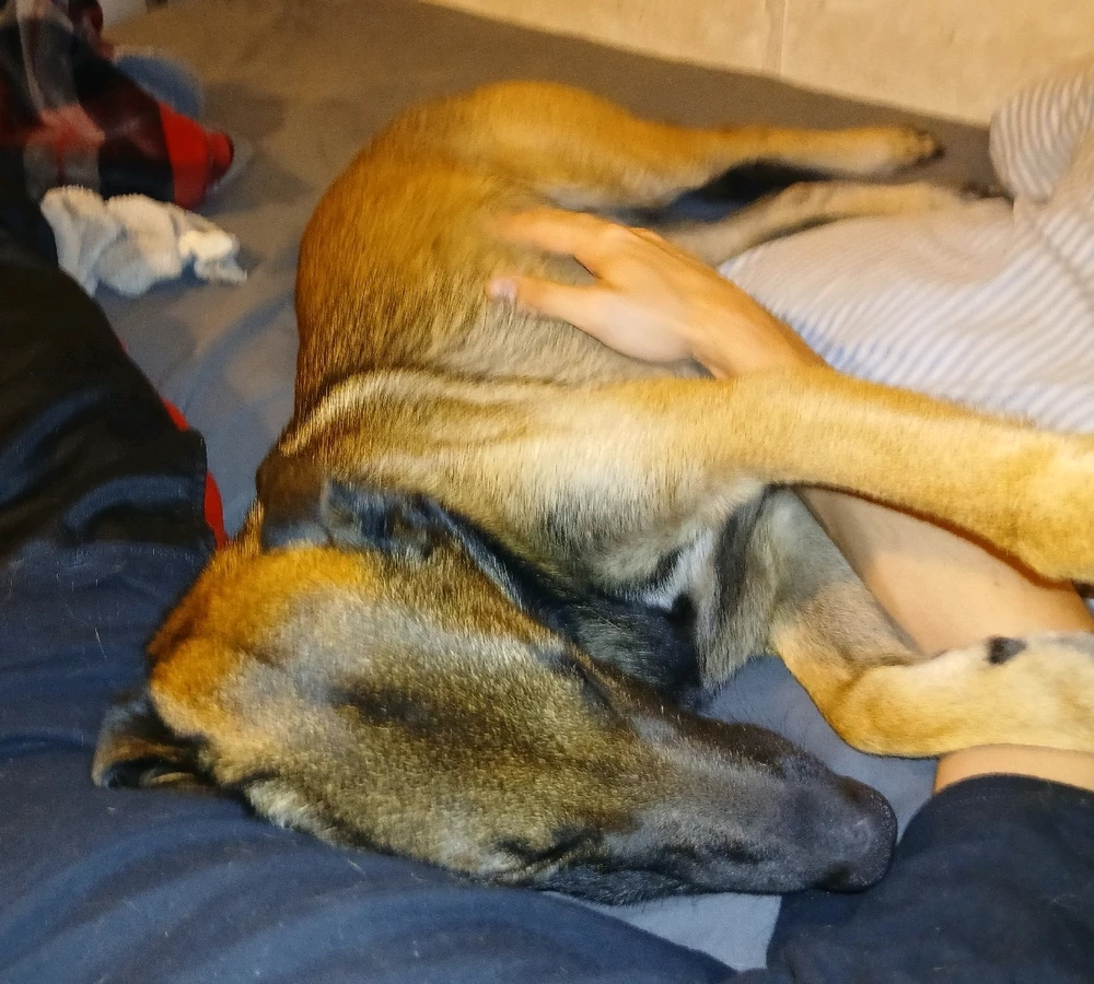 GIF uploaded by Quinn Brumbaugh