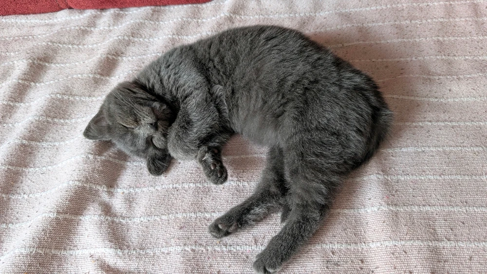 Obrázek nahrál Matěj