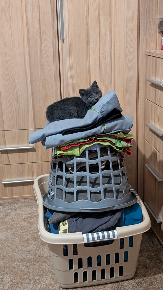 Obrázek nahrál Matěj