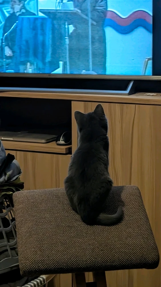 Obrázek nahrál Matěj