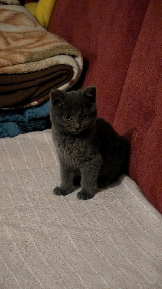 Obrázek nahrál Matěj