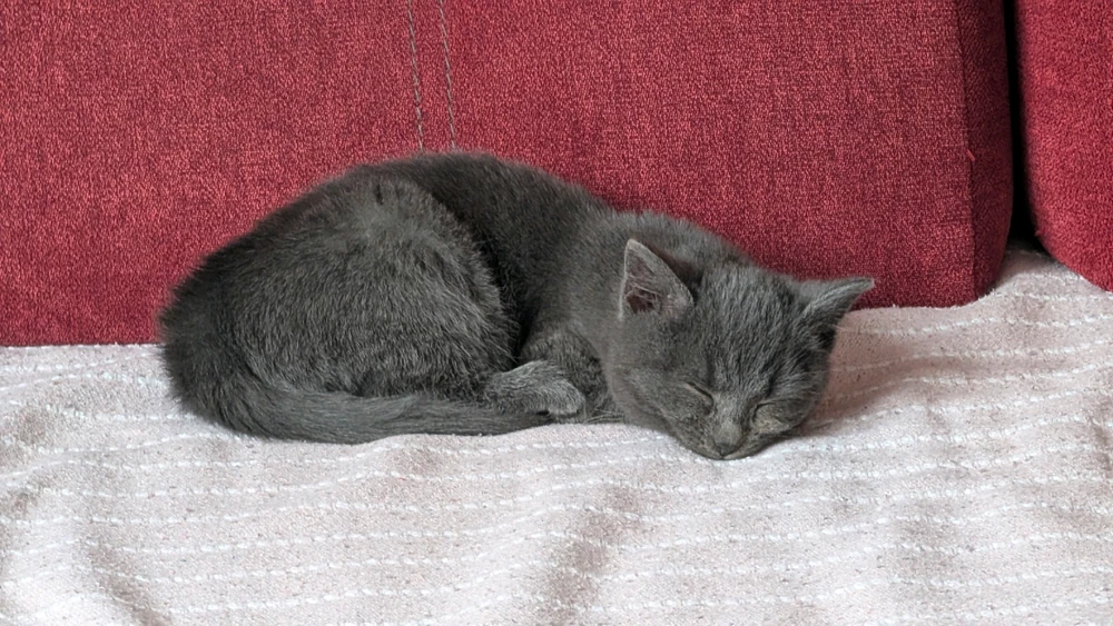 Obrázek nahrál Matěj