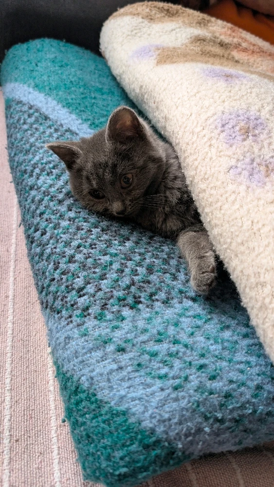 Obrázek nahrál Matěj