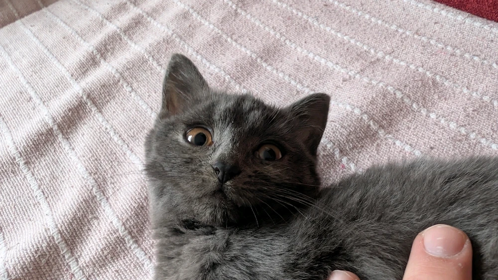 Obrázek nahrál Matěj